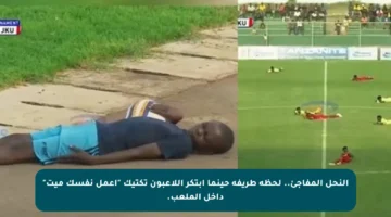 النحل المفاجئ.. لحظة طريفة حينما ابتكر اللاعبون تكتيك “اعمل نفسك ميت” داخل الملعب.